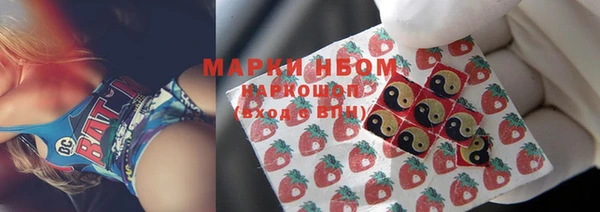 амф Магас