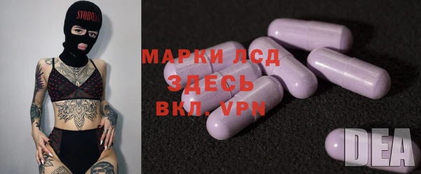 амф Магас